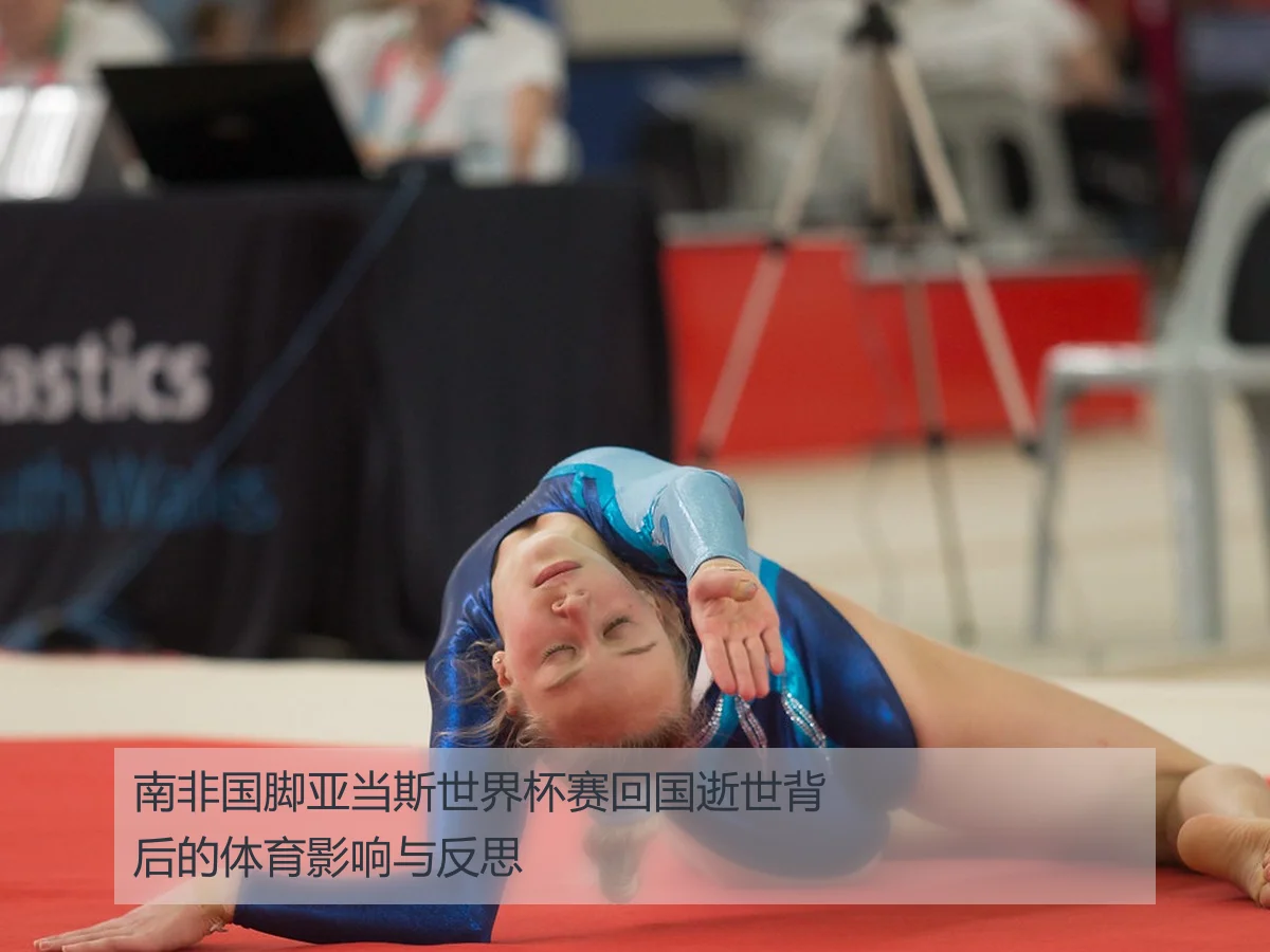 南非国脚亚当斯世界杯赛回国逝世背后的体育影响与反思