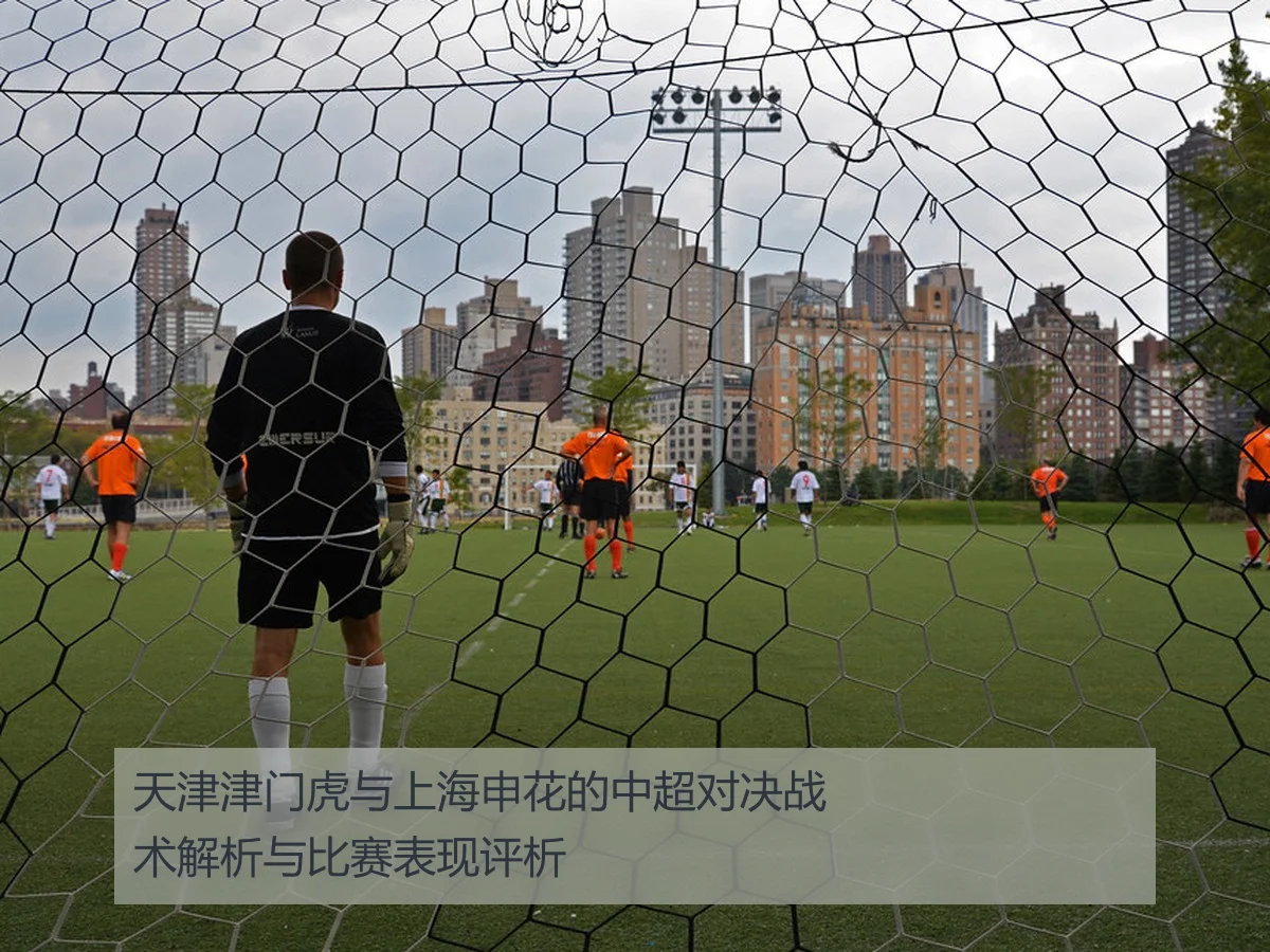 天津津门虎与上海申花的中超对决战术解析与比赛表现评析